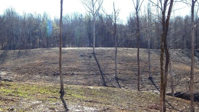 DeSoto County. This 83.562 surveyed acres is the perfect - photo 48