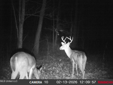DeSoto County. This 83.562 surveyed acres is the perfect - photo 54