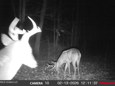 DeSoto County. This 83.562 surveyed acres is the perfect - photo 55