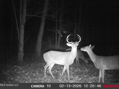 DeSoto County. This 83.562 surveyed acres is the perfect - photo 56