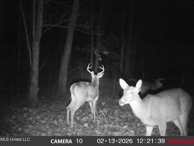 DeSoto County. This 83.562 surveyed acres is the perfect - photo 57