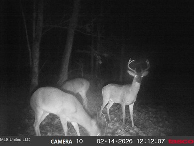 DeSoto County. This 83.562 surveyed acres is the perfect - photo 58