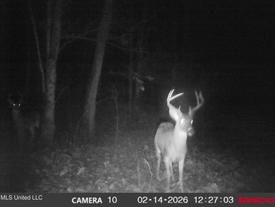 DeSoto County. This 83.562 surveyed acres is the perfect - photo 59