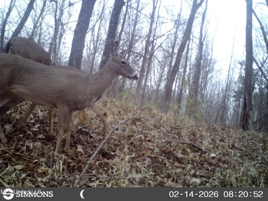 DeSoto County. This 83.562 surveyed acres is the perfect - photo 60