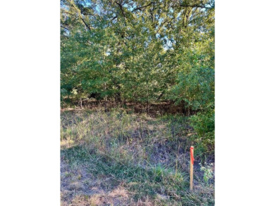Cedar Creek Lake Lot For Sale in Malakoff Texas