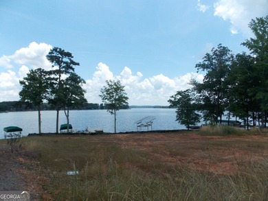 MUST SEE!!! DOCK AND BOAT SLIP WITH LIFT ON DEEP WATER WITH 180 - photo 3