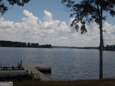 MUST SEE!!! DOCK AND BOAT SLIP WITH LIFT ON DEEP WATER WITH 180 - photo 6