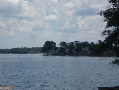 MUST SEE!!! DOCK AND BOAT SLIP WITH LIFT ON DEEP WATER WITH 180 - photo 8