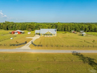 Lake Home For Sale in Molino, Florida