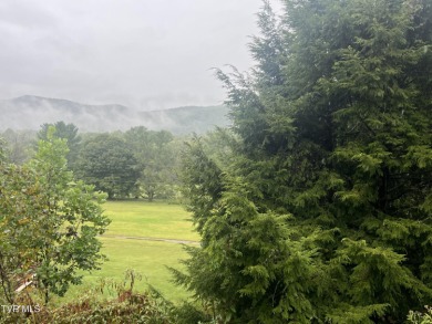 (private lake, pond, creek) Lot Sale Pending in Unicoi Tennessee