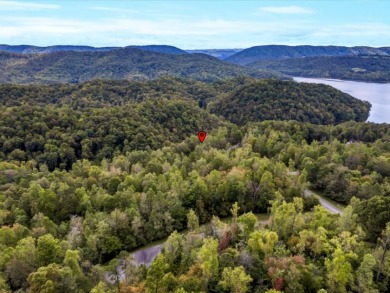 Norris Lake Lot with 112 Ft of Shoreline & Dock Rights - photo 16