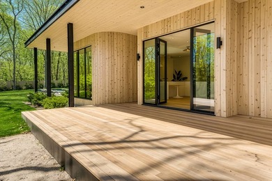 This brand-new 3,591 square foot residence by Young Developments - photo 33