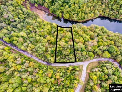 Norris Lake Lot with 112 Ft of Shoreline & Dock Rights - photo 4