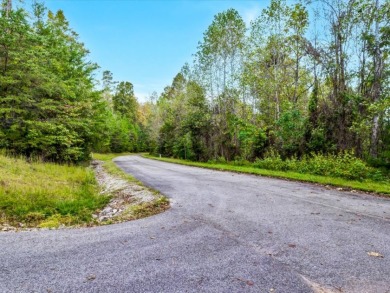 Norris Lake Lot with 112 Ft of Shoreline & Dock Rights - photo 18