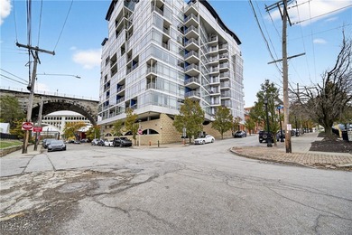 Lake Erie - Cuyahoga County Condo For Sale in Cleveland Ohio