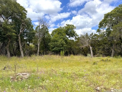 SELLER FINANCING AVAILABLE!! Las Brisas at Canyon Lake, 1 plus - photo 8