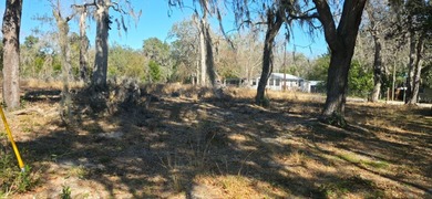 Tsala Apopka Chain of Lakes Lot For Sale in Floral City Florida