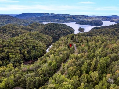 Norris Lake Lot with 112 Ft of Shoreline & Dock Rights - photo 15