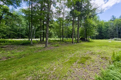 This 1.5 acre parcel in Hope offers many possibilities. The - photo 5