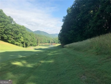 Lake Lot For Sale in Jasper, Georgia