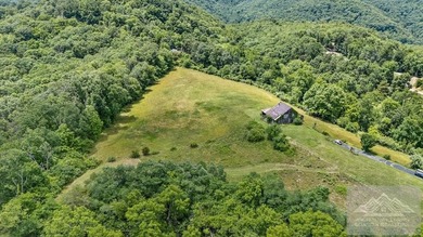 Nestled on 17 breathtaking acres, this enchanting 1910 farmhouse - photo 50