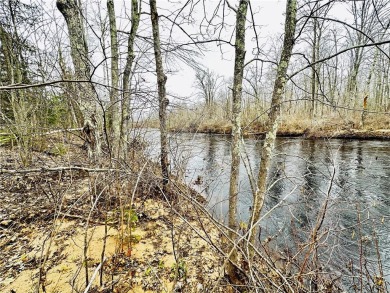 Thornapple River  Lot For Sale in Ladysmith Wisconsin