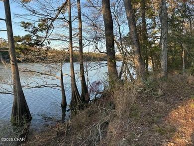 (private lake, pond, creek) Acreage For Sale in Ebro Florida