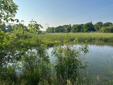 (private lake, pond, creek) Lot For Sale in Oconomowoc Wisconsin