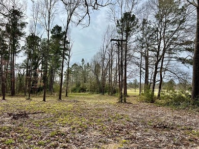 Beautiful 3.48 acres, cleared and ready for your new home. This - photo 11