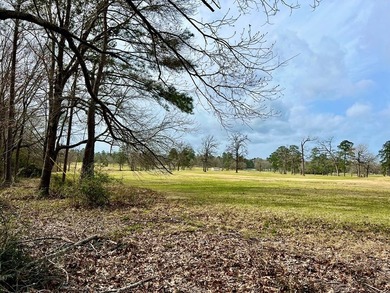 Beautiful 3.48 acres, cleared and ready for your new home. This - photo 13