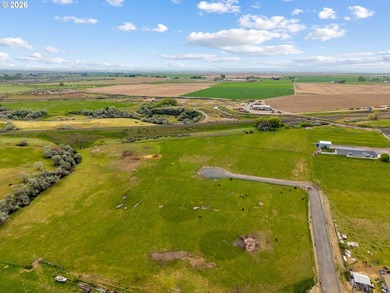 ** 4.23 Acres | 4.2 Acres Water Rights | Hermiston Irrigation - photo 13