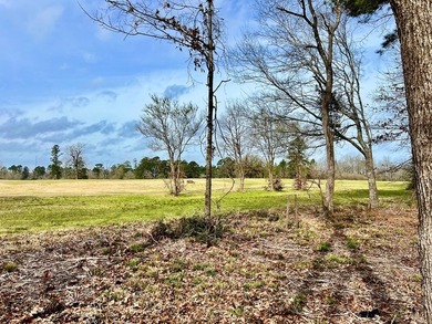 Beautiful 3.48 acres, cleared and ready for your new home. This - photo 14