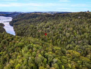 Norris Lake Lot with 112 Ft of Shoreline & Dock Rights - photo 13