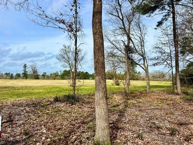 Beautiful 3.48 acres, cleared and ready for your new home. This - photo 16