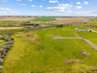 ** 4.23 Acres | 4.2 Acres Water Rights | Hermiston Irrigation - photo 16