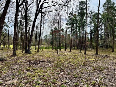 Beautiful 3.48 acres, cleared and ready for your new home. This - photo 17