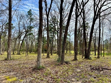 Beautiful 3.48 acres, cleared and ready for your new home. This - photo 18