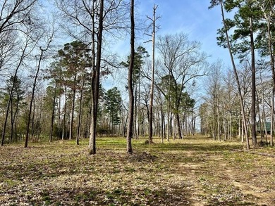 Beautiful 3.48 acres, cleared and ready for your new home. This - photo 19