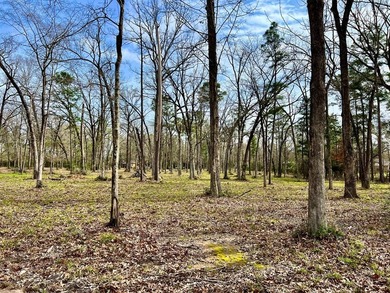Beautiful 3.48 acres, cleared and ready for your new home. This - photo 20