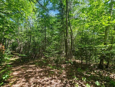 Tucked away at the end of a quiet, town-maintained dead-end road - photo 3