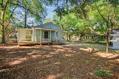 Welcome to 321 Park Street, Georgetown, SC, which is a charming - photo 26