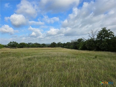 **Bunnell Ranch on Cowhouse Creek** Premier 125+/-Ac mixed-use - photo 38