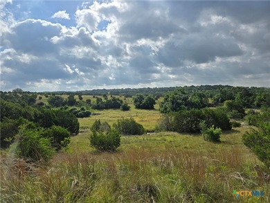 **Bunnell Ranch on Cowhouse Creek** Premier 125+/-Ac mixed-use - photo 44