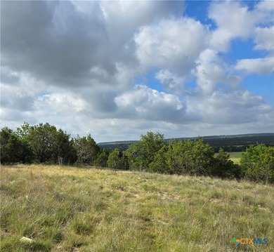 **Bunnell Ranch on Cowhouse Creek** Premier 125+/-Ac mixed-use - photo 45