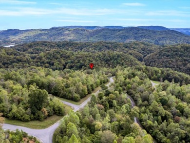 Norris Lake Lot with 112 Ft of Shoreline & Dock Rights - photo 17