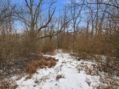 77.09 acres for sale in Ritchie County, West Virginia. Don't - photo 13