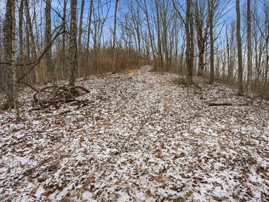77.09 acres for sale in Ritchie County, West Virginia. Don't - photo 14