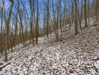 77.09 acres for sale in Ritchie County, West Virginia. Don't - photo 15