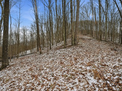 77.09 acres for sale in Ritchie County, West Virginia. Don't - photo 18