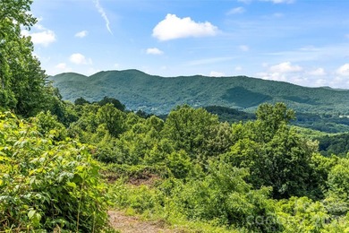 Stunning year round views. Must see to truly appreciate. Unique - photo 19
